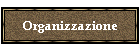 Organizzazione