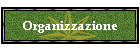 Organizzazione