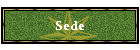 Sede
