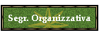 Segr. Organizzativa