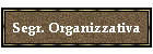 Segr. Organizzativa